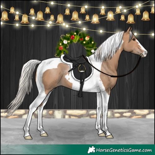 Horse Color:Silver Brown Dun Tobiano 