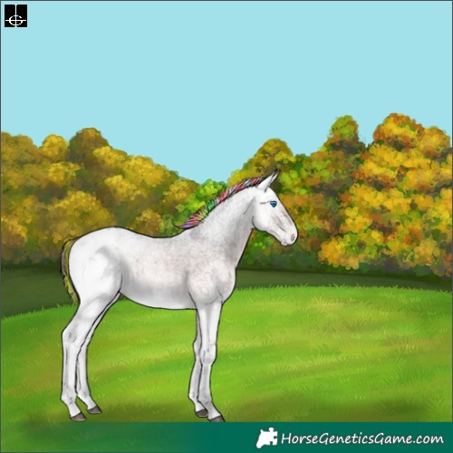 Horse Color:Painted Bay Ice Sabino Splash 