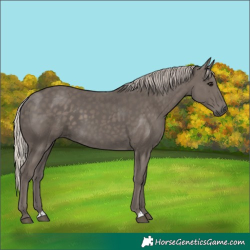 Horse Color:Silver Black 