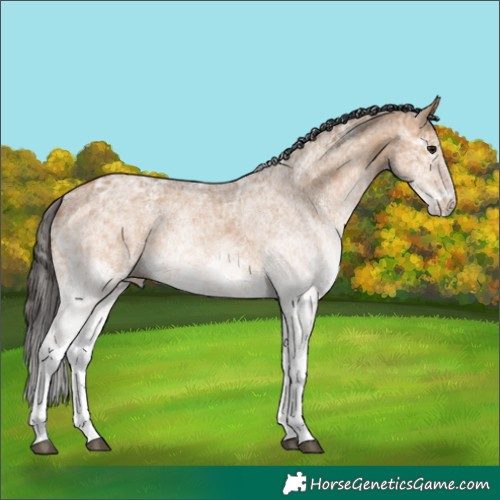 Horse Color:White Spotted Bay Ice Dun 