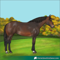Horse Color:Brown 