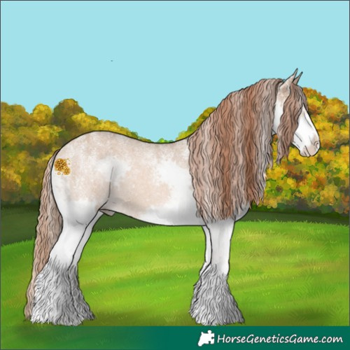 Horse Color:Powder White Red Dun Splash 