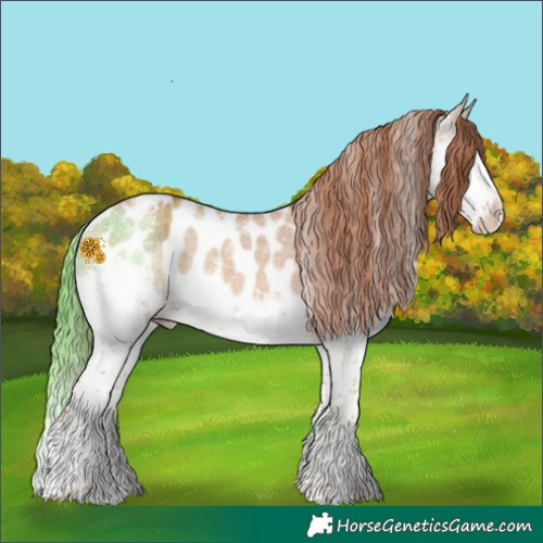 Horse Color:Powder White Red Dun Splash Appaloosa 