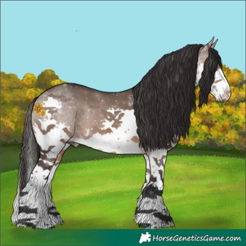 Horse Color:White Spotted Brown Dun Splash Rabicano 
