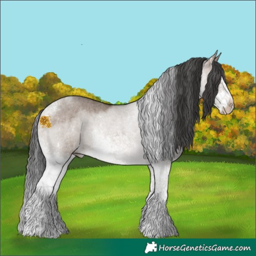 Horse Color:White Spotted Brown Dun Splash Tobiano Rabicano 
