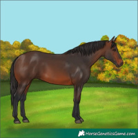 Horse Color:Brown 