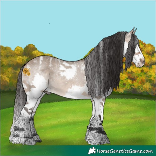 Horse Color:Powder White Brown Dun Sabino Splash Rabicano 