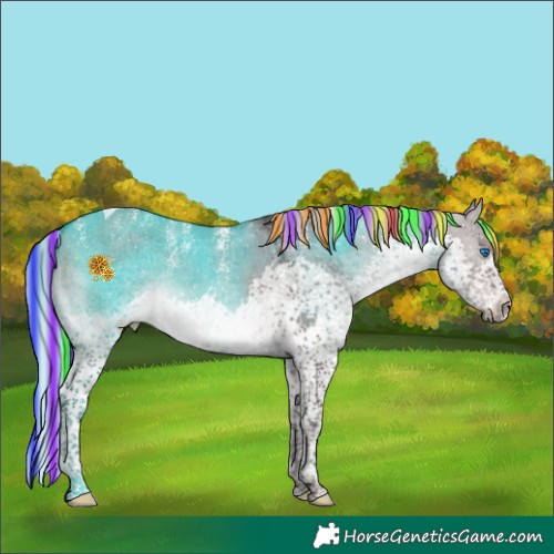 Horse Color:Powder White Platinum Painted Silver Brown Dun Mushroom Splash Tobiano 