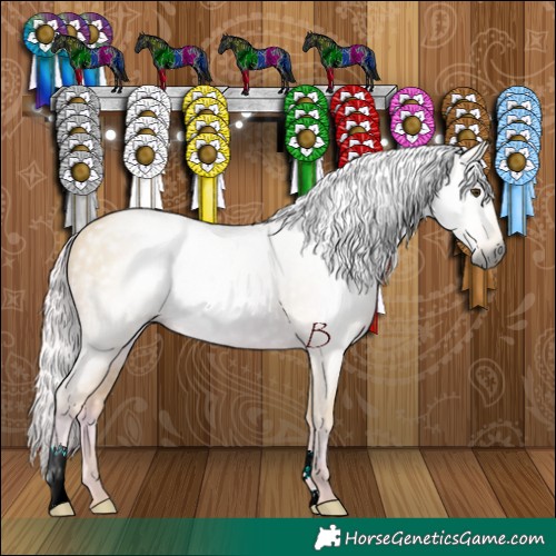 Horse Color:Gray Watercolor Palomino