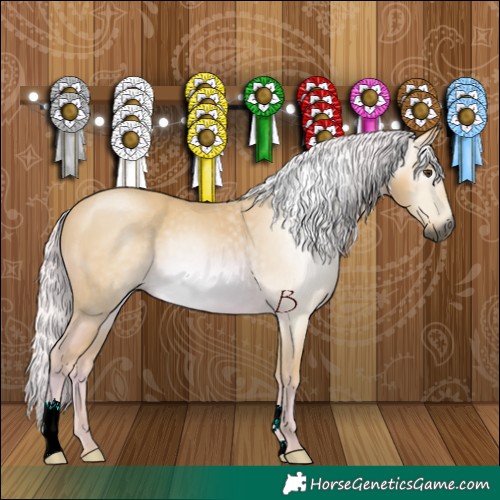 Horse Color:Gray Watercolor Palomino 