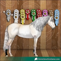 Horse Color:Gray Watercolor Palomino 