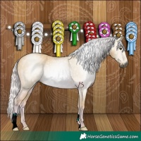 Horse Color:Gray Watercolor Palomino 