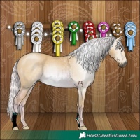 Horse Color:Gray Watercolor Palomino