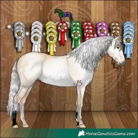 Horse Color:Gray Watercolor Palomino