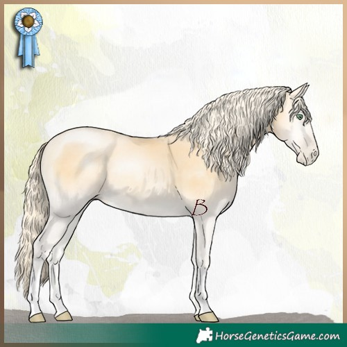 Horse Color:Palomino Pearl Onyx 