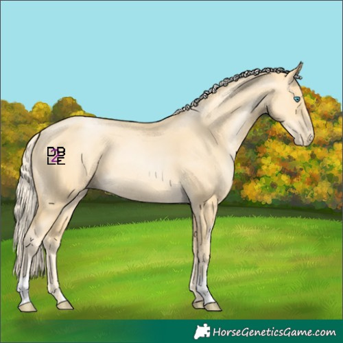 Horse Color:Palomino Pearl 