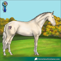 Horse Color:Palomino Pearl 