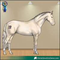 Horse Color:Palomino Pearl