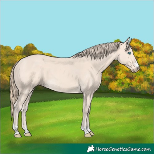 Horse Color:Perlino 