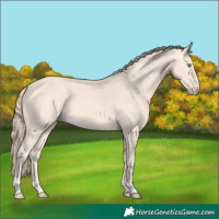 Horse Color:Perlino 