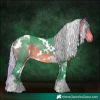 Horse Color:Watercolor White Spotted Silver Buckskin 