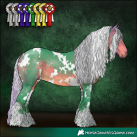 Horse Color:Watercolor White Spotted Silver Buckskin