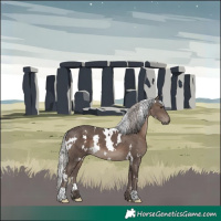 Horse Color:White Spotted Silver Black Mushroom 