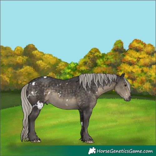 Horse Color:White Spotted Silver Smoky Black Mushroom 