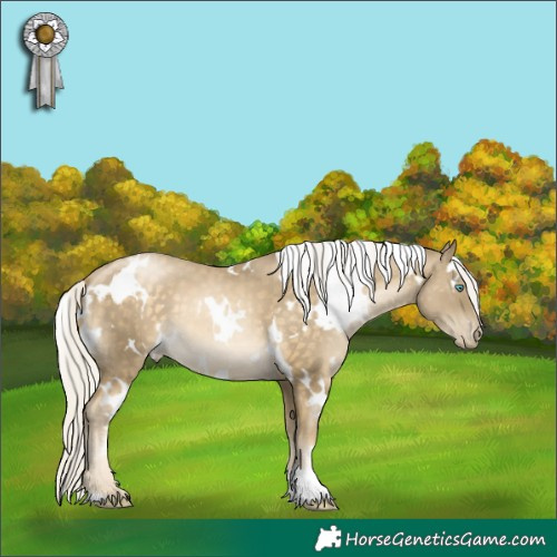 Horse Color:White Spotted Silver Buckskin Pearl 
