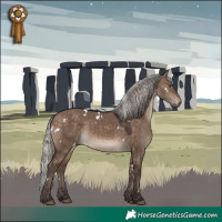 Horse Color:White Spotted Silver Brown Dun