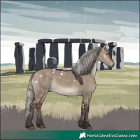 Horse Color:White Spotted Silver Brown Dun