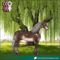 Horse Color:White Spotted Silver Brown