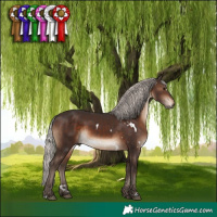 Horse Color:White Spotted Silver Brown
