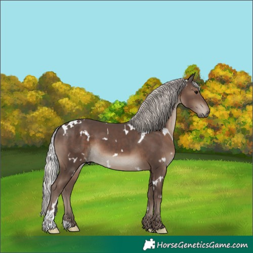 Horse Color:White Spotted Silver Black 