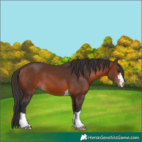 Horse Color:Brown 
