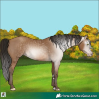 Horse Color:Gray Amber Champagne 