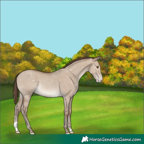 Horse Color:Classic Champagne Dun Sabino Varnish Rabicano 