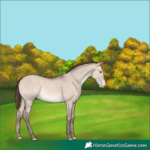 Horse Color:Sable Champagne Dun Varnish Rabicano 