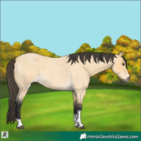 Horse Color:Buckskin Roan Tobiano 