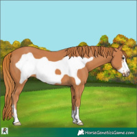 Horse Color:Chestnut Frame