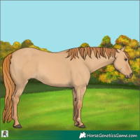 Horse Color:Red Dun 