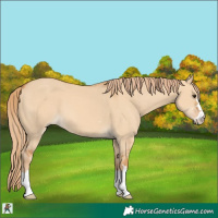 Horse Color:Red Dun 