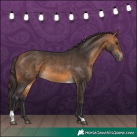 Horse Color:Buckskin Tobiano