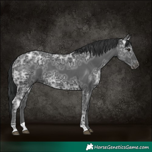 Horse Color:Black Ice 