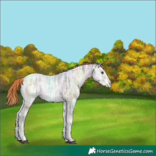 Horse Color:Liver Red Onyx Ice Sabino 