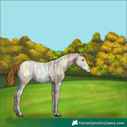Horse Color:Void Plaid  Chestnut Ice 