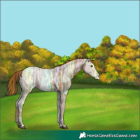 Horse Color:Void Plaid  Chestnut Ice 