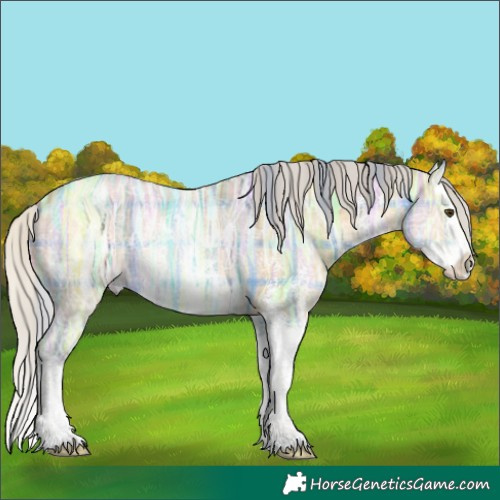 Horse Color:Plaid  Silver Buckskin Ice Dun Sabino Splash 