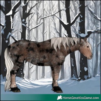 Horse Color:Void White Spotted Silver Blue Ice Roan 