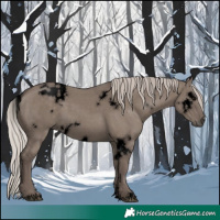 Horse Color:Void White Spotted Silver Grullo Rabicano 